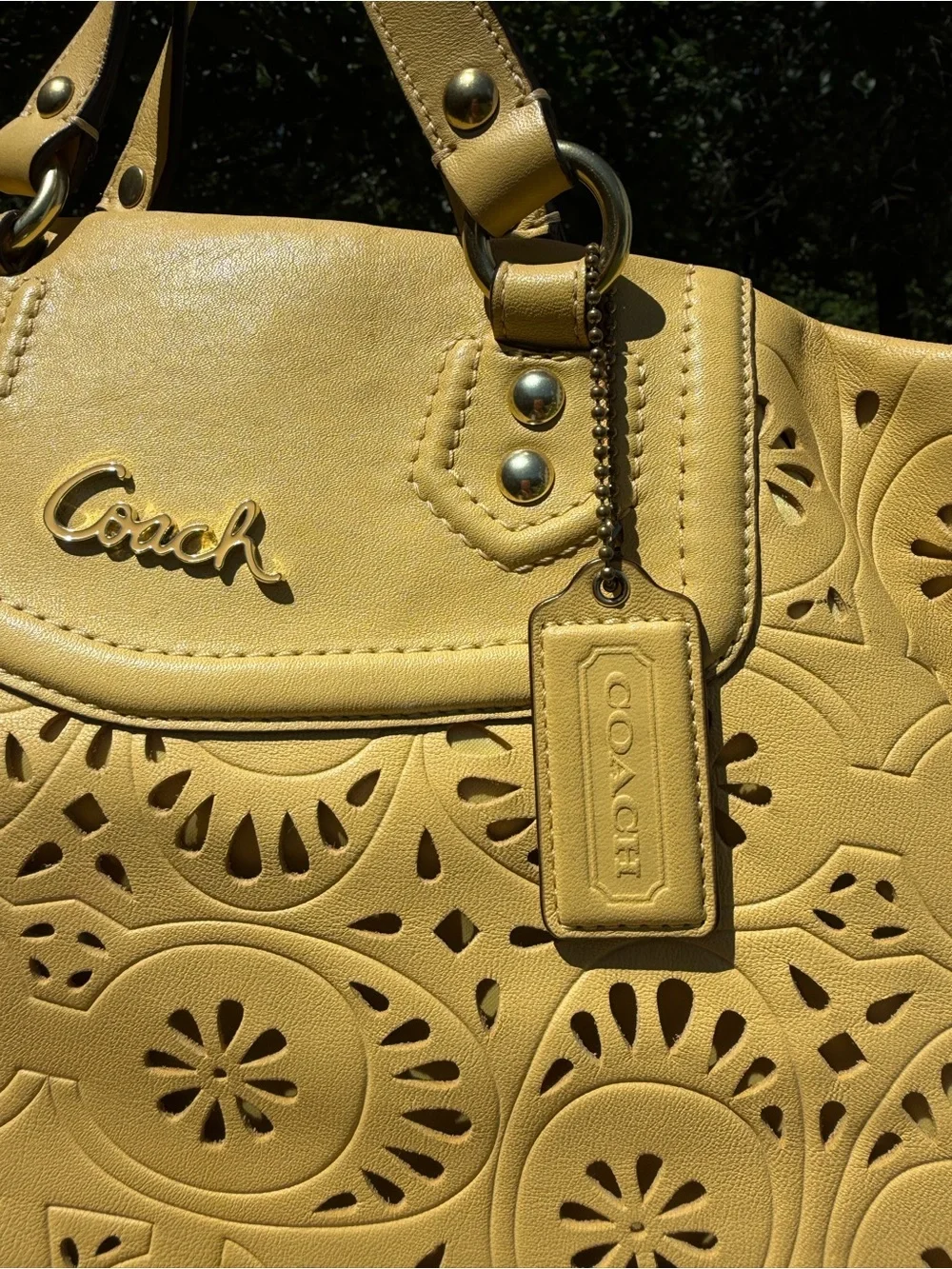 Coach 2013 Ashley Lace Eyelet Leather Carryall Yellow F21883